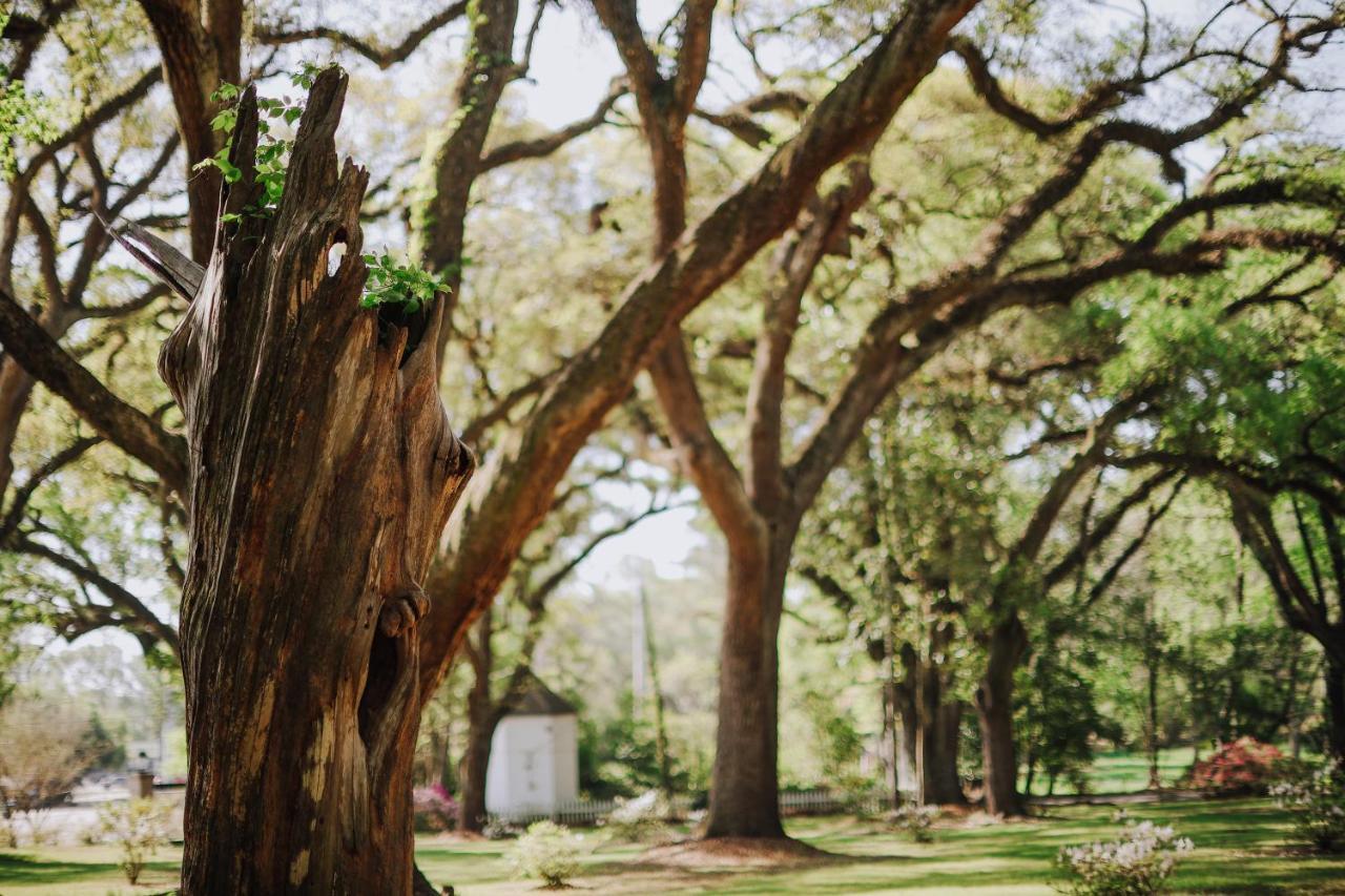 The Myrtles Bed & Breakfast Saint Francisville Exterior photo